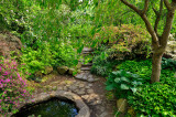 Planting Fields Arboretum