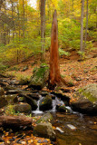 Bushkill Falls, Bushkill, PA 