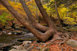 Bushkill Falls, Bushkill, PA 