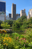 View from Central Park