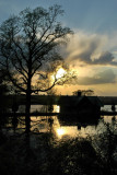 Cedarmere, Roslyn Harbor, NY