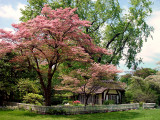 Old Westbury Gardens