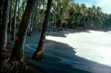 Black Sand Beach, Hawaii - 1976