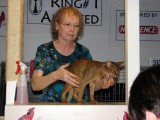 Telling off the judge.  Luckily manners dont count at cat shows!!