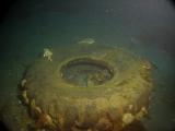 An old tire is a meeting place for sculpins and flounder