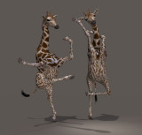 Dancing Giraffes