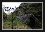 Medieval bridge in the Urut gorge