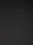Comet Neat near M44