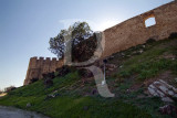 Castelo  de Torres Vedras (IIP)