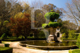 Jardim Botnico da Universidade de Coimbra (IIP)