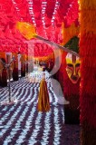 Festa das Flores de Papel