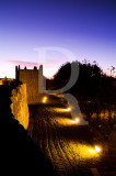 Castelo e Muralhas de Trancoso (MN)