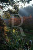 Cores do Campo