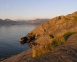 Summer night by the fjord.jpg