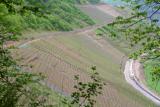 Steep vineyards to the south of Ernst.jpg