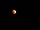 Lunar Eclipse 02-20-08