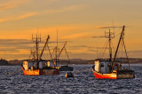 Lubec, Maine Harbor at Sunset