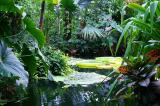 Blijdorp Jungle