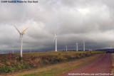 July 25 - a wind farm on Upolu Point Road on the northwest coast of the Big Island
