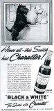 1950s - Black & White Scotch