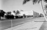 1953 - the new Burdines department store on Miami Beach