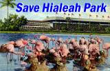 The OLD Save Historic Hialeah Park from Development Gallery - click on image to view