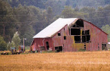Skagit County Barn