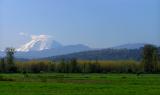 Mt. Rainier with a halo