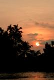 Sunset - Backwaters, Kerala, India.