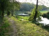 Paseo por el Ulla
