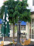 A STREET CAFE   655