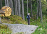 WHICH WAY NOW?