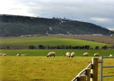 ON THE SOUTH DOWNS