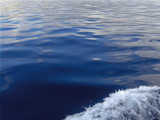 NAVY BLUE SEA