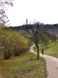 PATHWAY ACROSS THE ORCHARDS