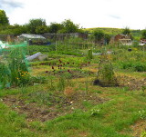 ALLOTMENTS