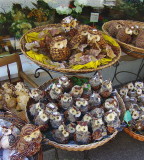 BOWLS OF OWLS