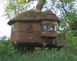 TREE-HOUSE