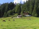 SCHATZBERG ALM