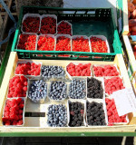 FOUR BERRY DISPLAY