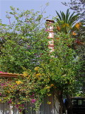 COLOURFUL CORNER