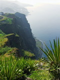 A CLIFF SEASCAPE    1033