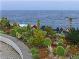CACTUS GARDEN