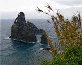 ROCKY OUTCROPS 