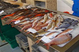 A VARIETY OF FRESH FISH