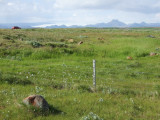 Langjkull