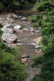 Segama River