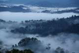 Sunrise at Danum Valley