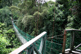 Danum Valley Canopy Walkway
