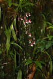 DPP_FSC10309.JPG